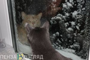 Россиянам рассказали, почему нынешняя зима аномально теплая