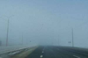 Пензенец предупредил водителей о сильном тумане на трассе М-5