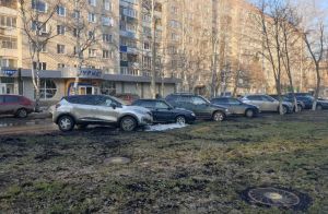 Парковка на газоне в Пензе испортила водителю «карму» и автомобиль