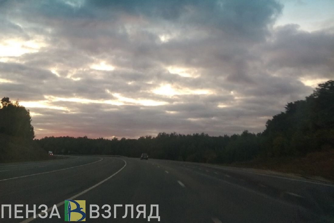 Весенний прогноз погоды, отставка в мэрии и «горячая линия» по коронавирусу - новости Пензы за 5 марта