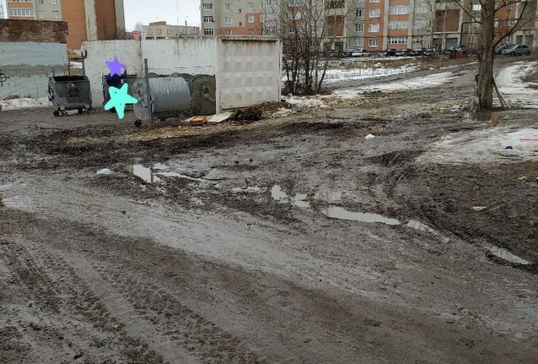 Жители Пензенской области не могут добраться до мусорки