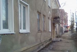 В Кузнецке боятся повторения московской истории с убитым током конем