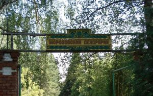 В Пензе обсудили восстановление Морозовского дендрария