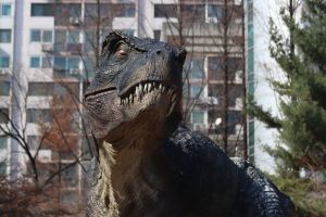 В Пензенской области нашли то ли метеорит, то ли череп доисторического ящера. Видео
