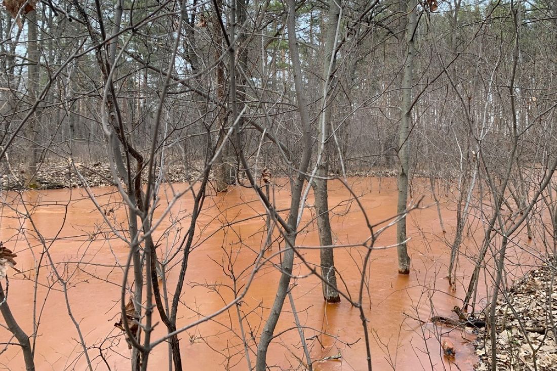 Лес на Шуисте в Пензе заполонила рыжая вода