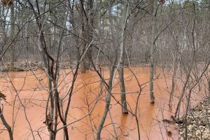 Лес на Шуисте в Пензе заполонила рыжая вода