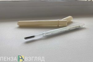 Еще трое с подозрением на коронавирус, крупный пожар и рыжая вода в лесу: новости Пензенской области за 29 марта