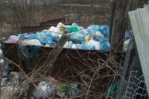 Жители Пензенской области сообщили о несанкционированной свалке