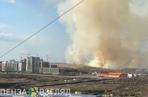 Пожар в Заре, двое на аппаратах ИВЛ, в Пензе похолодает – главные новости за 5 апреля