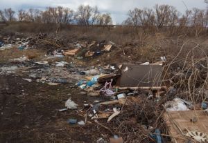 В Пензенской области недалеко от реки появилась большая свалка