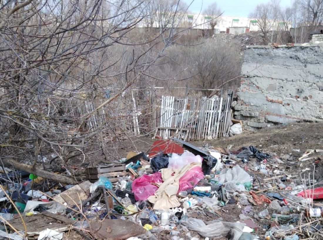 Жители Кузнецка публикуют фото мест, загаженных горожанами