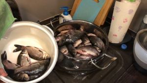 Пензенский рыбак показал, как правильно ловить рыбу в режиме самоизоляции