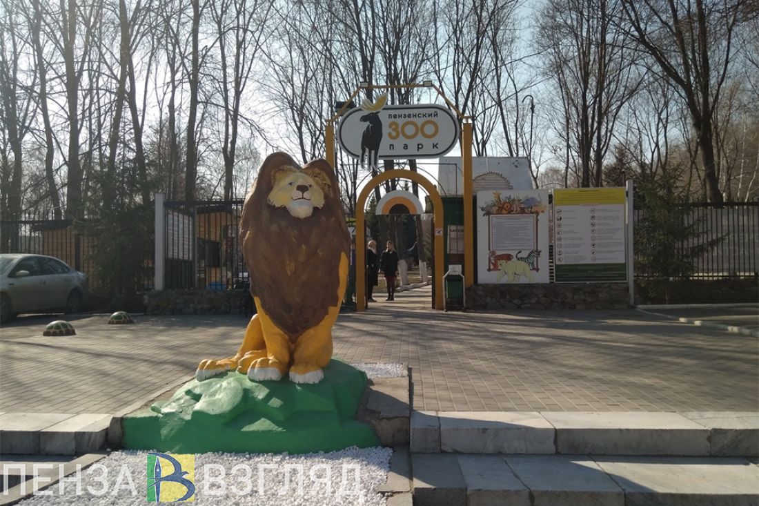 Пензенцев приглашают на онлайн-прогулку по зоопарку