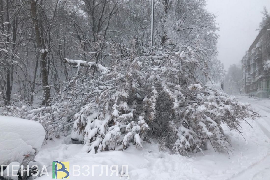 Снегопад, отключение электроэнергии и новая информация по коронавирусу - новости Пензы за 12 апреля