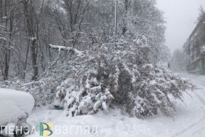 Снегопад, отключение электроэнергии и новая информация по коронавирусу - новости Пензы за 12 апреля