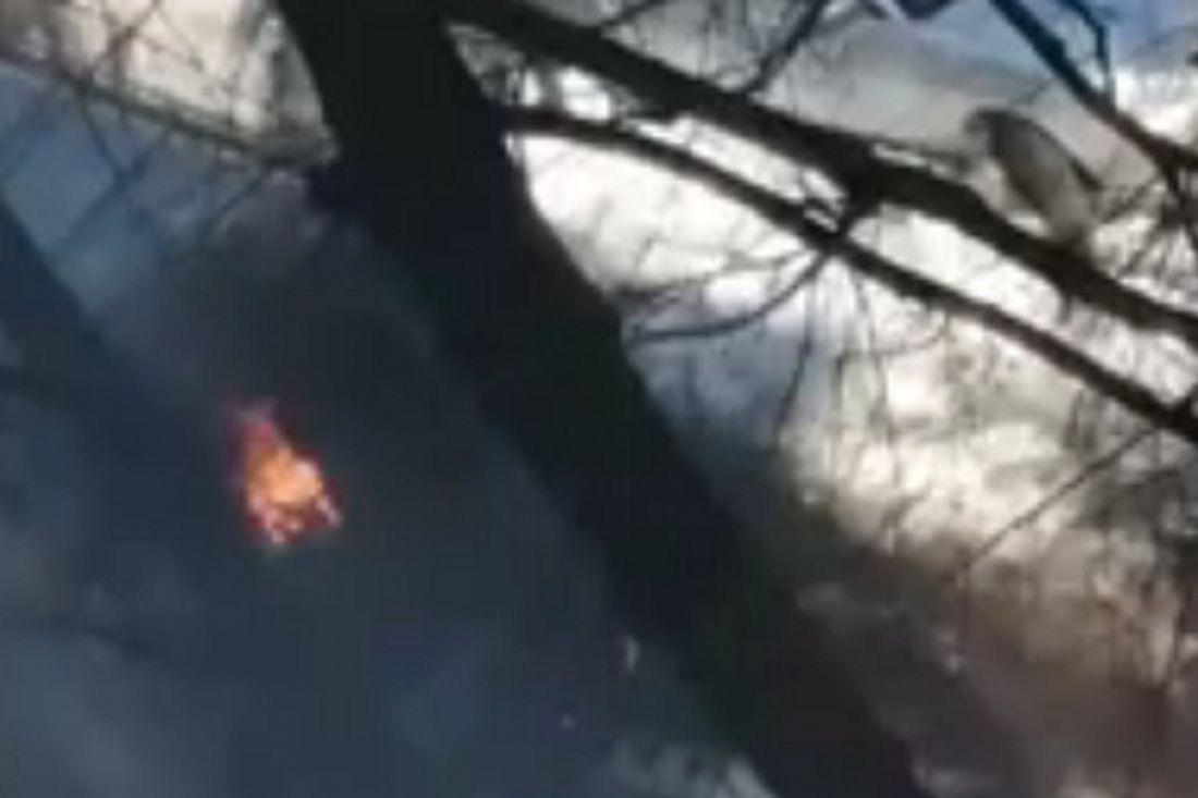 Пензенец сообщил о возгорании в машине на Южной поляне. Видео