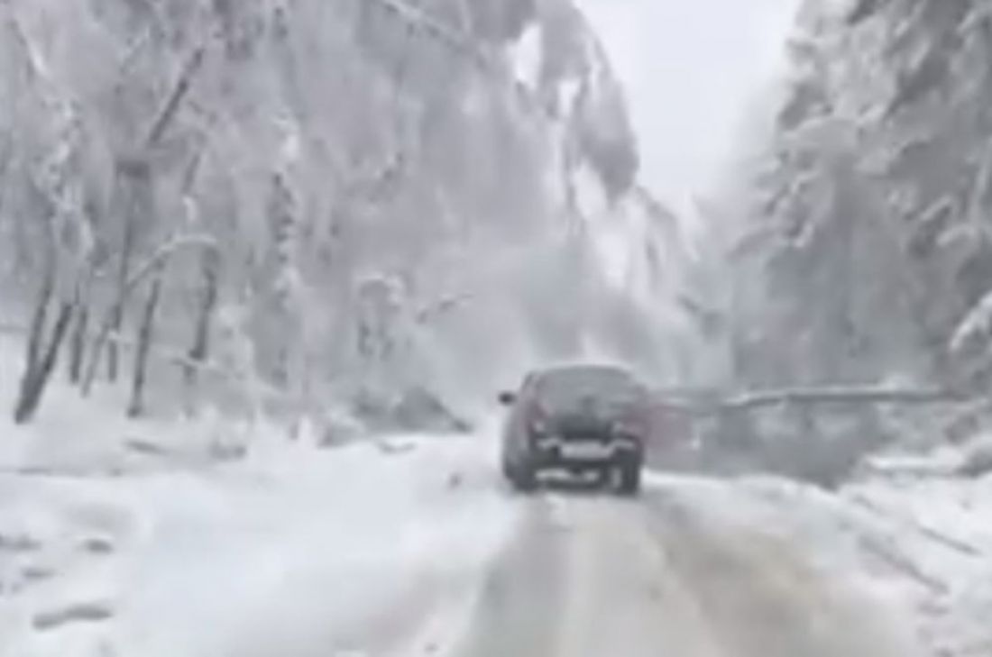 Водитель снял видео дороги в Пензу, заваленной снегом и деревьями