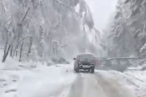 Водитель снял видео дороги в Пензу, заваленной снегом и деревьями
