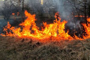 «Основная причина пожаров - беспечность»