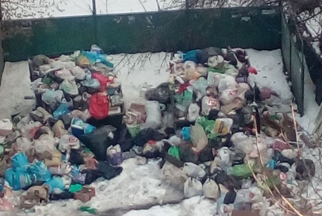 Жителей улицы Дзержинского в Пензе возмутили горы мусора во дворе