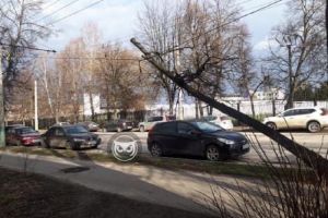 В Заводском районе Пензы дерево повисло на проводах