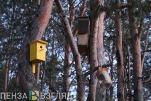 Фотовзгляд. К прилету скворцов подготовлены места для самоизоляции