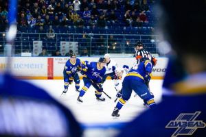 Пензенский «Дизель» объявил о новых игроках и продленных контрактах