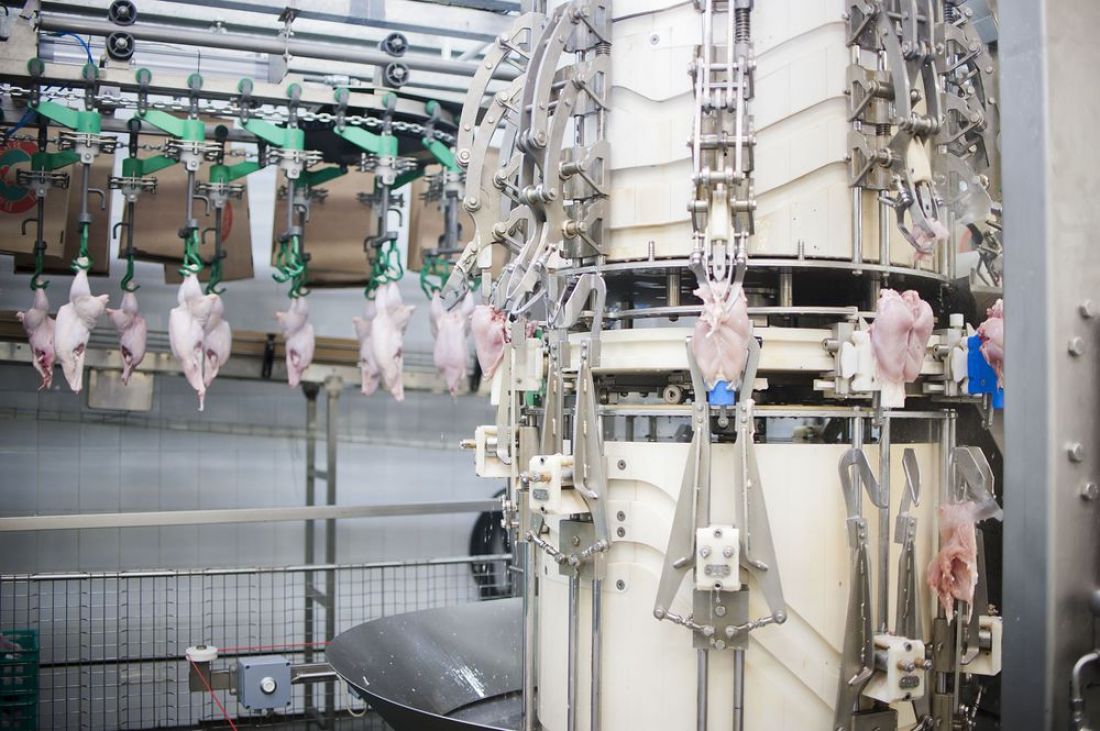 В Пензенской области снова отмечен рост производства аграрной продукции