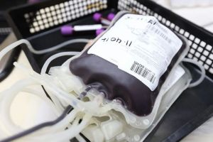 В ФМБА рассказали о результатах лечения коронавируса плазмой переболевших пациентов