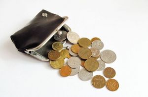 Власти Пензенской области требуют исключить сбор денег с родителей учеников на хозяйственные нужды