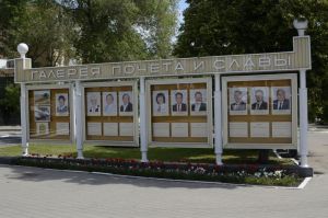 На пензенскую галерею почета и славы попадет пловец и мини-футбольный клуб