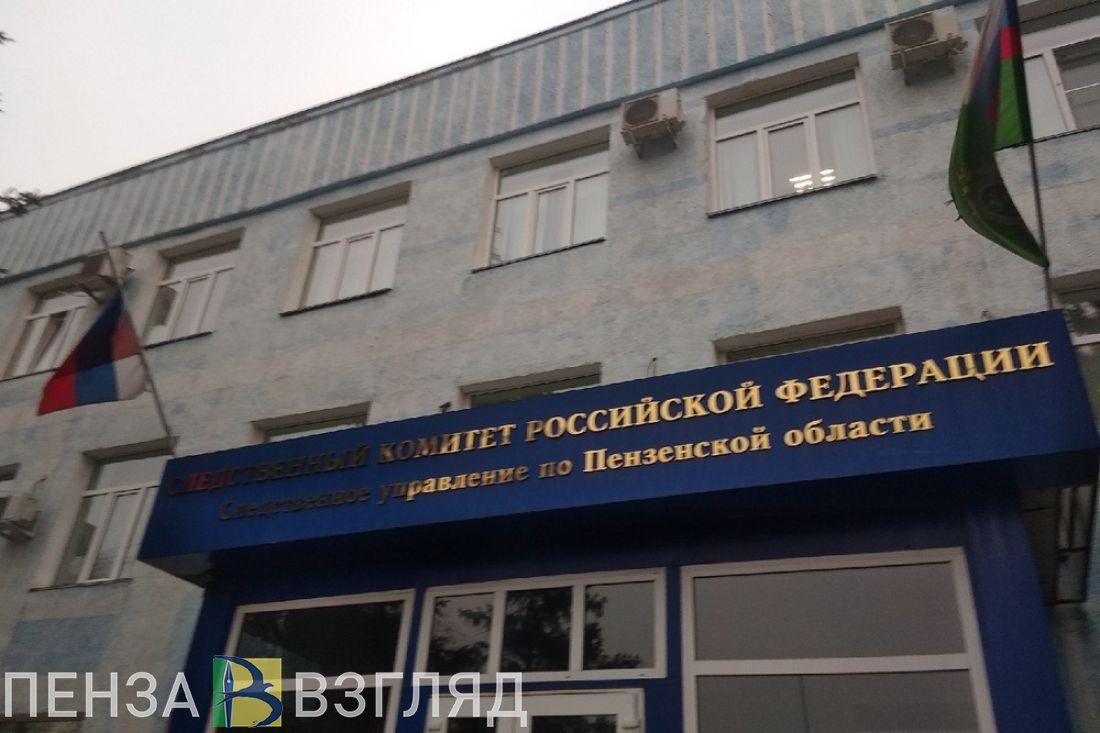 Убийство девочки, рост заболевших коронавирусом и помощь ребенку: новости Пензенской области за 24 мая