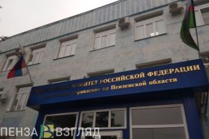 Убийство девочки, рост заболевших коронавирусом и помощь ребенку: новости Пензенской области за 24 мая