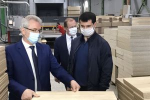 Пензенские мебельные предприятия готовы вернуться к прежним объемам производства