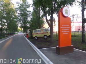 Обнародовано число медиков, скончавшихся от коронавируса в РФ