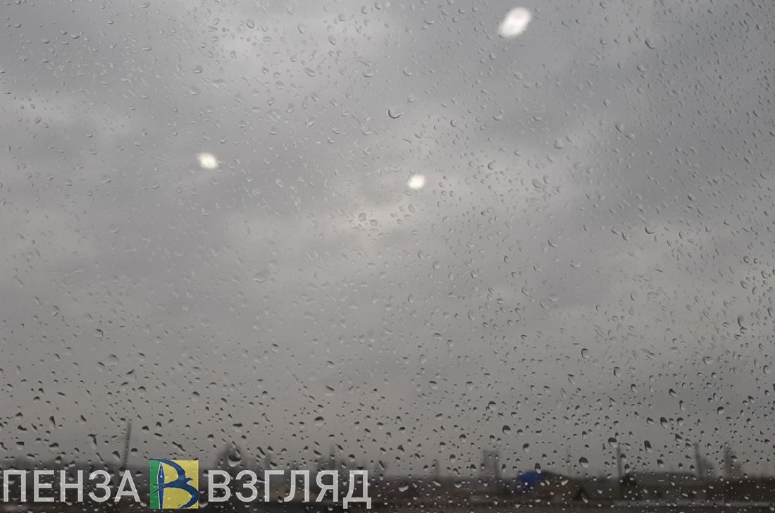 Дождливая погода, смерть врача и поиски пропавшего мужчины - новости Пензы за 31 мая