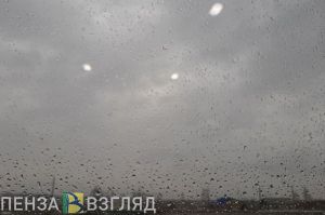 Дождливая погода, смерть врача и поиски пропавшего мужчины - новости Пензы за 31 мая