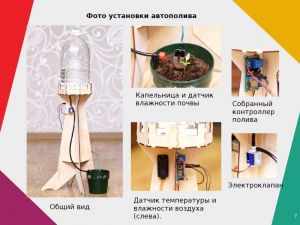 Пензенский школьник придумал дистанционную поливалку и стал лучшим «шустриком» России
