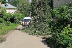 Соцсети: в Пензе на мужчину с ребенком упало дерево