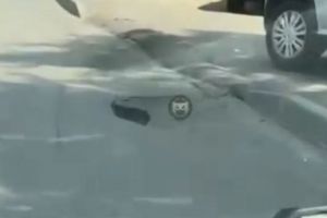 На улице Тамбовской в Пензе на дороге провалился асфальт