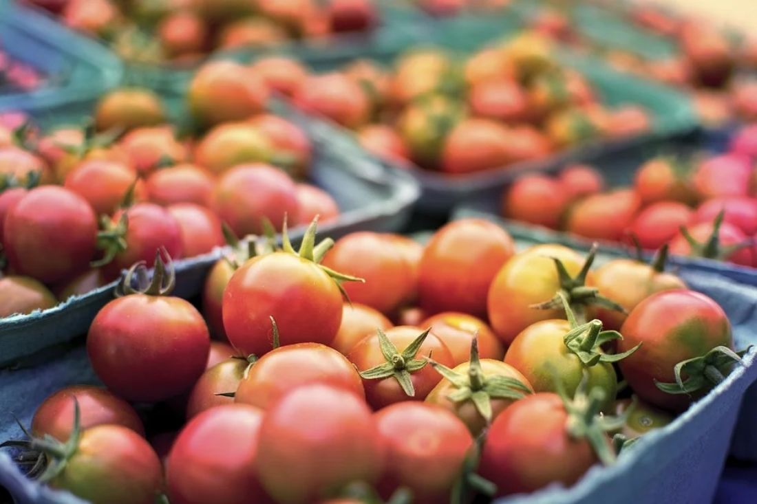 Пензастат рассказал, как дорожали продукты с начала года