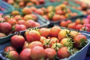 Пензастат рассказал, как дорожали продукты с начала года