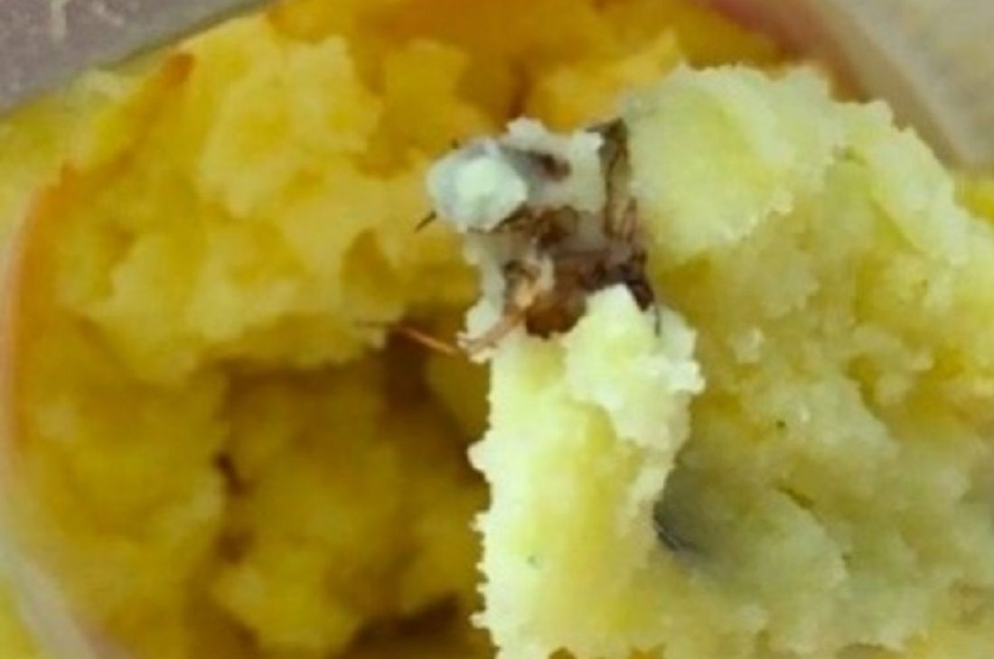 Пензенец обнаружил в пюре быстрого приготовления «мясную начинку»