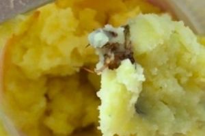 Пензенец обнаружил в пюре быстрого приготовления «мясную начинку»