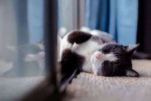 На дворе +30! Как не сгореть на работе