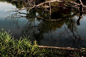 Утонувший мужчина, смерть экс-министра и дождливый прогноз - новости Пензы за 17 июля
