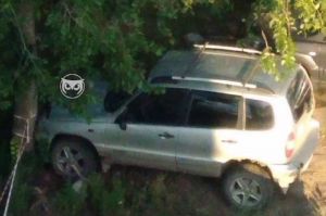 «Пьяный за рулем». В Пензе водитель врезался в дерево и скрылся