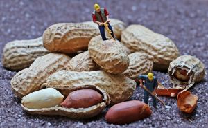 Продукты-притворяшки, которые являются совсем не тем, чем мы привыкли их считать