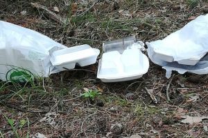 Жительницу Пензенской области возмутил оставленный в сосновой роще мусор