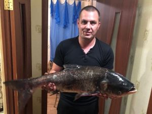 В Пензенской области семейная пара поймала 11-килограммовую рыбину голыми руками